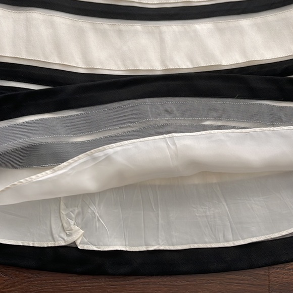 Ann Taylor NWOT Lined 70% Silk/ 30 Cotton Skirt with mesh and black trim detail. - Picture 4 of 7